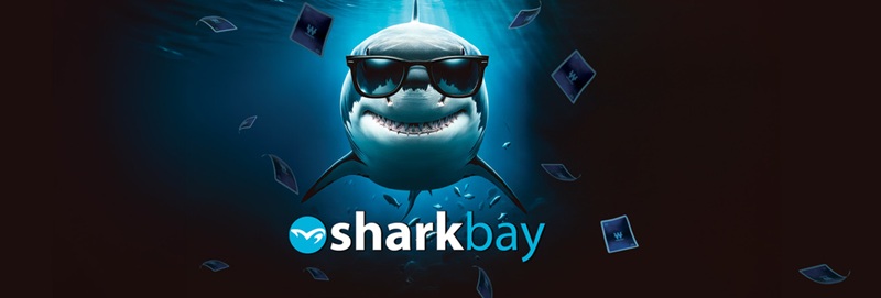 SHARKBAY ANNECY 2025 : C'est aujourd'hui que commence à nager les requins du côté d'Annecy !